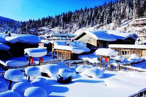 1516439934568708.jpg 3.jpg