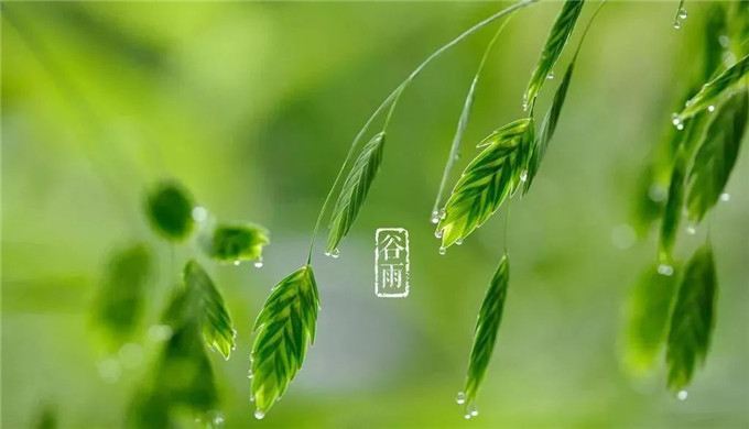 1524212277125816.jpg 1.jpg