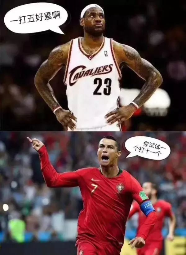 1530580686457384.jpg 10.jpg